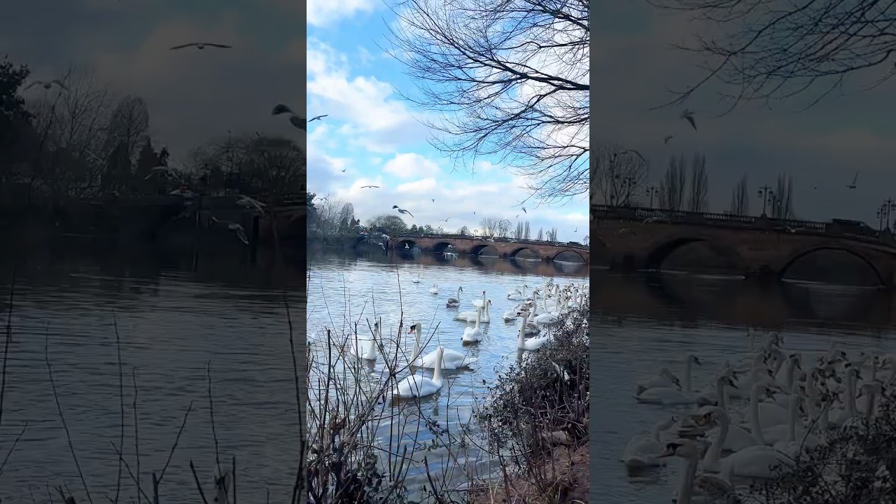 #worcester