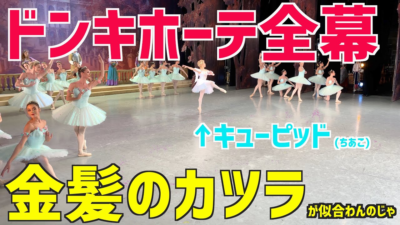 【ドン・キホーテ】パンチの効いた金髪のカツラが舞う。ちあこのキューピッド！【夢の場】Don Quixote,Qupid