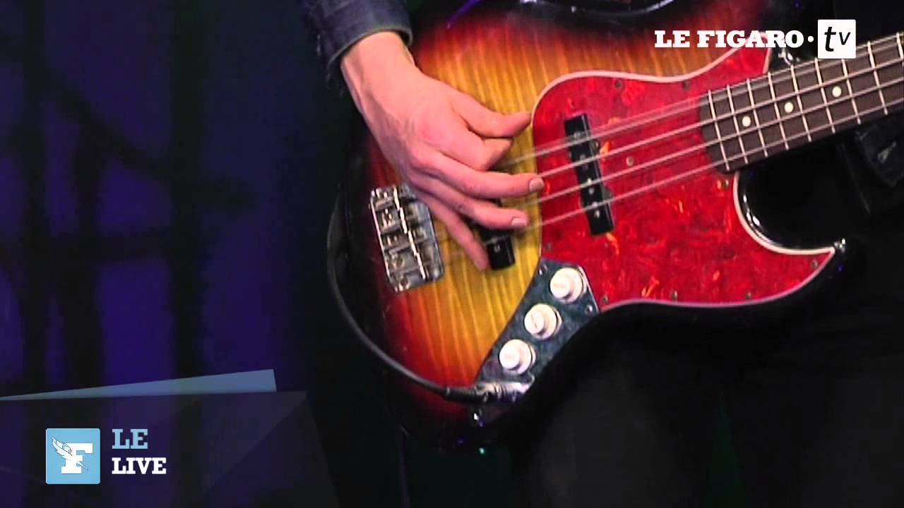 Saule - Type normal - Le Live