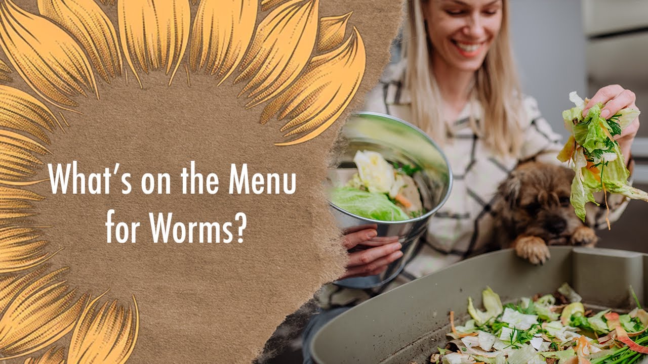 The Ultimate Worm Bin Feeding Guide: Best Foods and DANGEROUS Mistakes