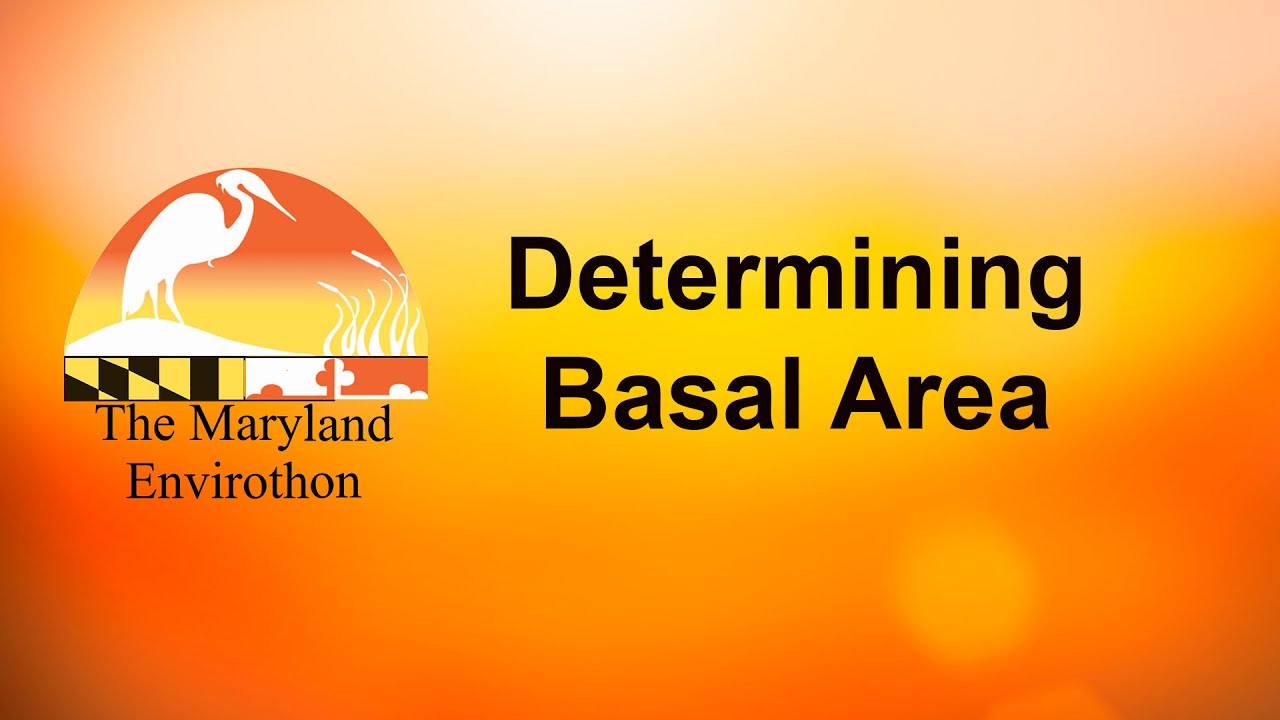 Determining Basal Area