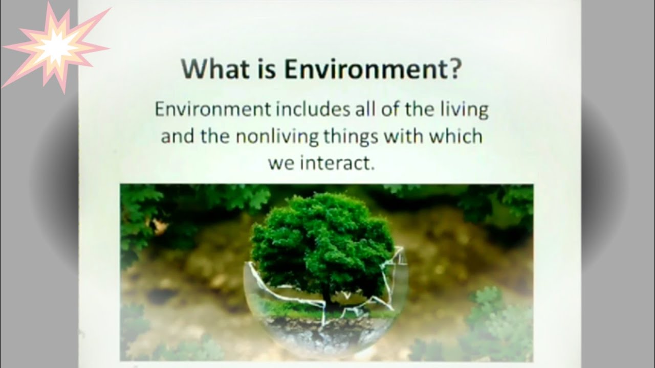 Environment | Environmental Science | Major Fields of Study Related to Environmental Science