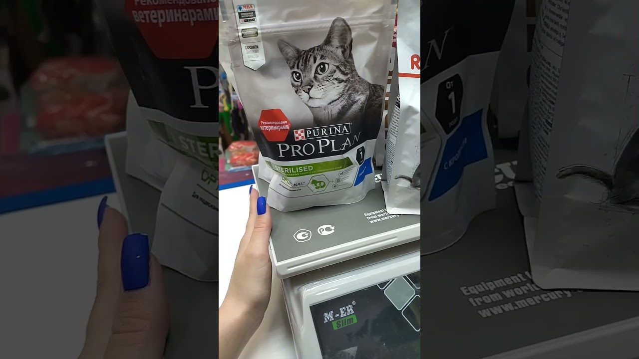 Как выбрать сухой корм для кошки, известные бренды кормов, классификация, состав.