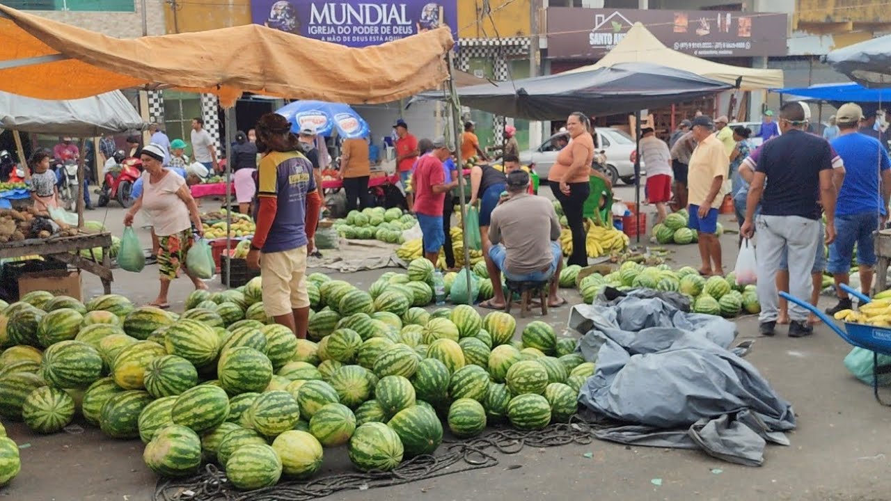 Feira Livre de Lajedo-PE 11/02/26 