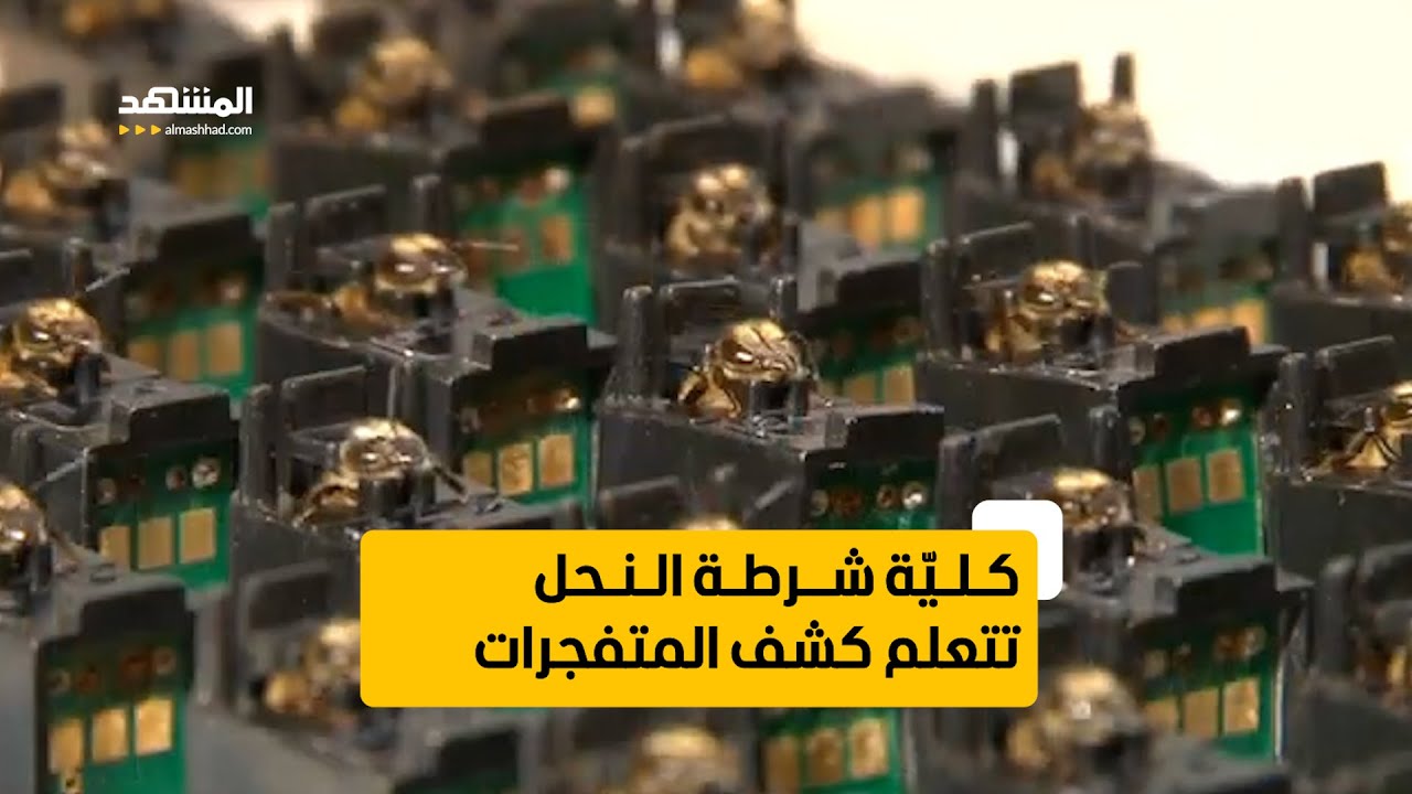 كلية شرطة النحل .. تتعلم كشف المتفجرات