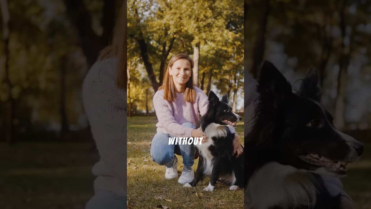Why Repeating Commands Ruins Dog Training 