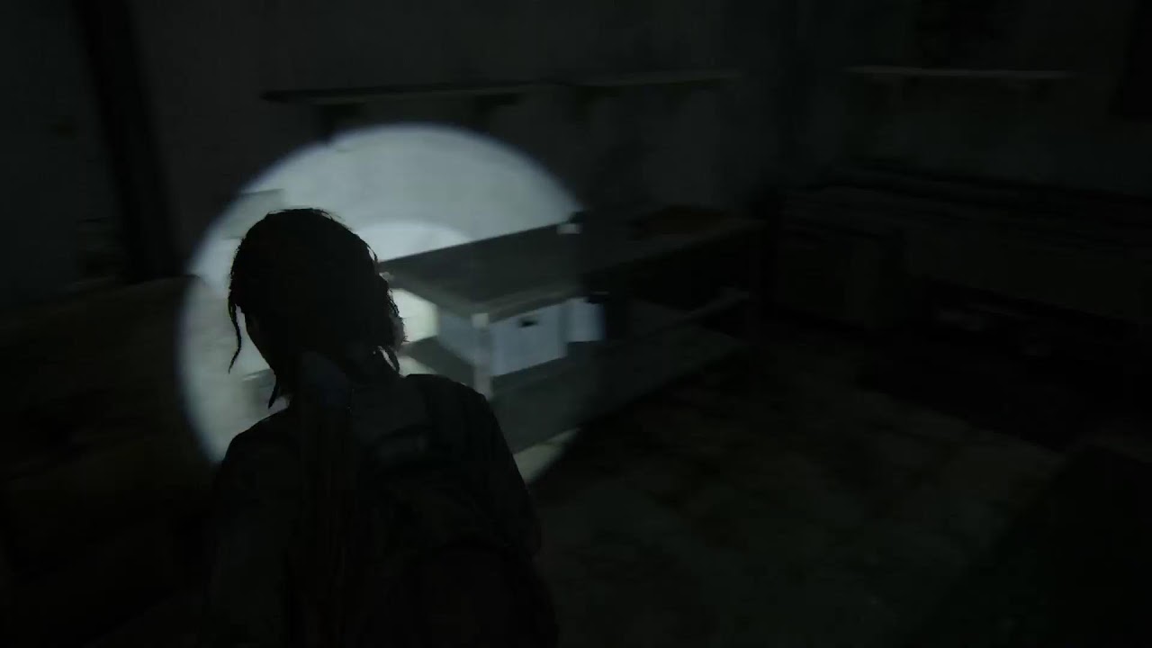 The Last of Us Part 2.