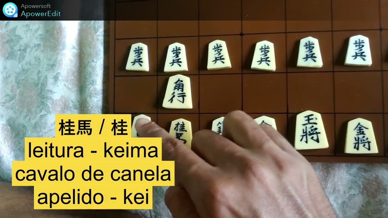 Como jogar Shogi -Li&ccedil;&atilde;o # 1-Introdu&ccedil;&atilde;o