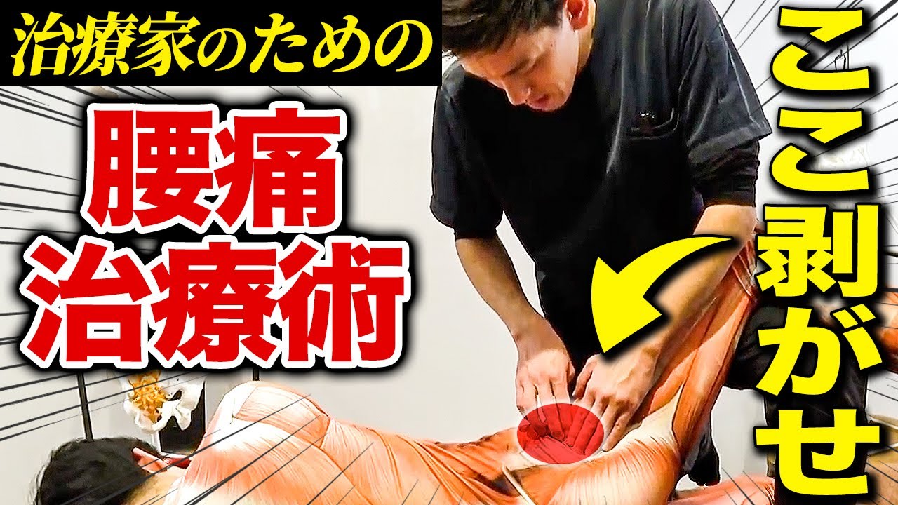 【開業してる治療家は絶対見て】慢性腰痛の患者を根本治療するにはこの治療テクニックが必須です。明日から実践してください！！