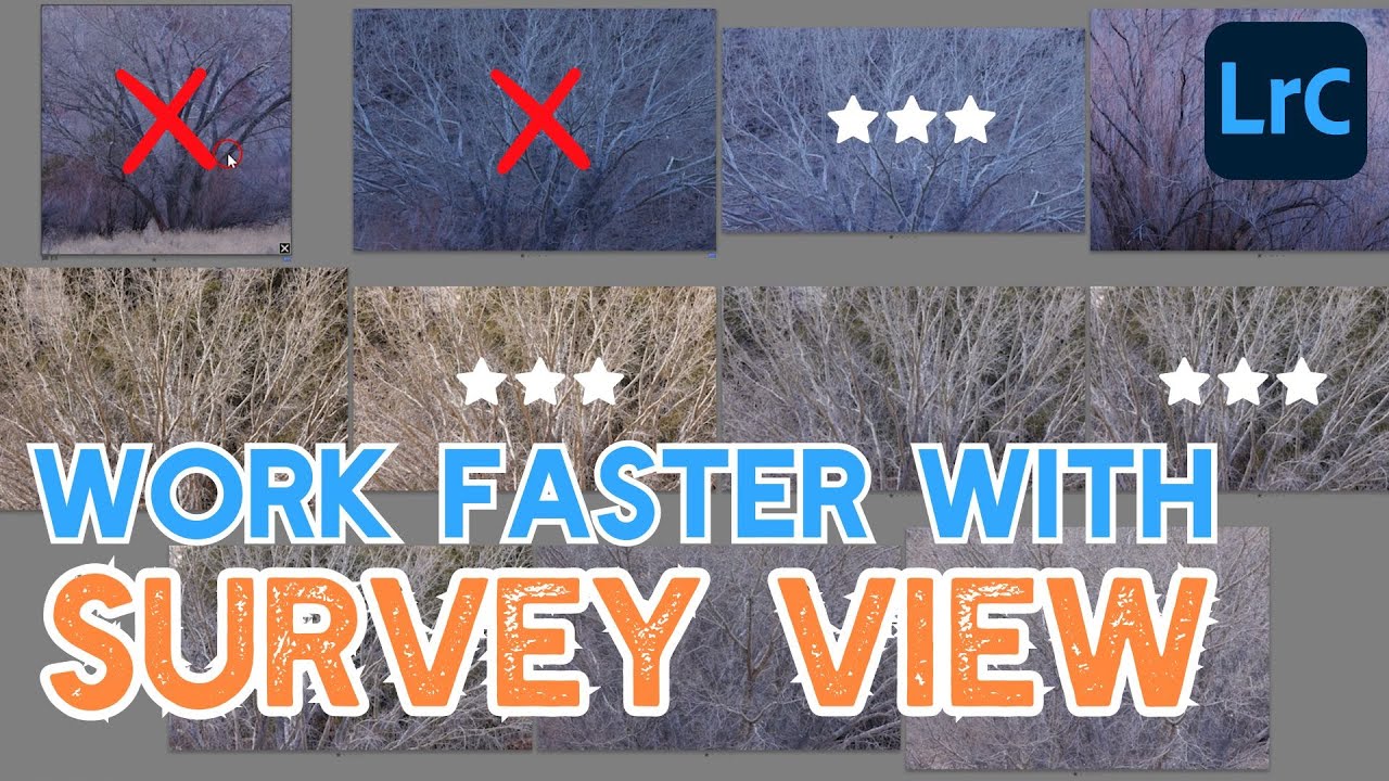Use SURVEY VIEW in Lightroom Classic to quickly review and rate photos