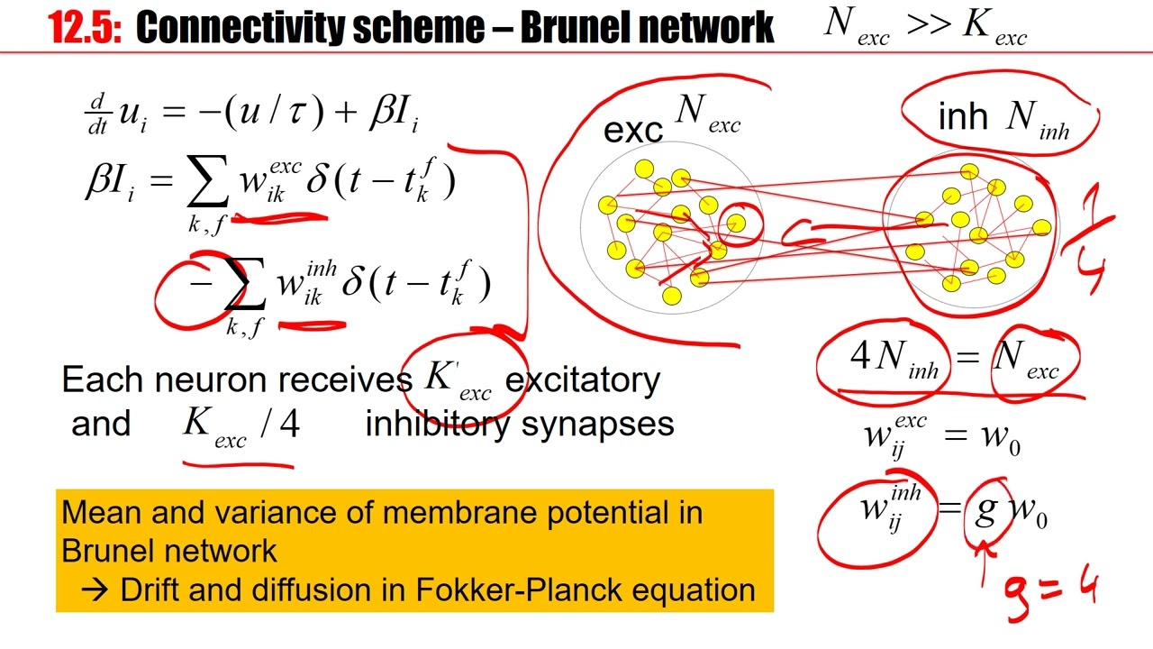 CNS Lecture 8.6: Random Network of integrate-and-fire neurons