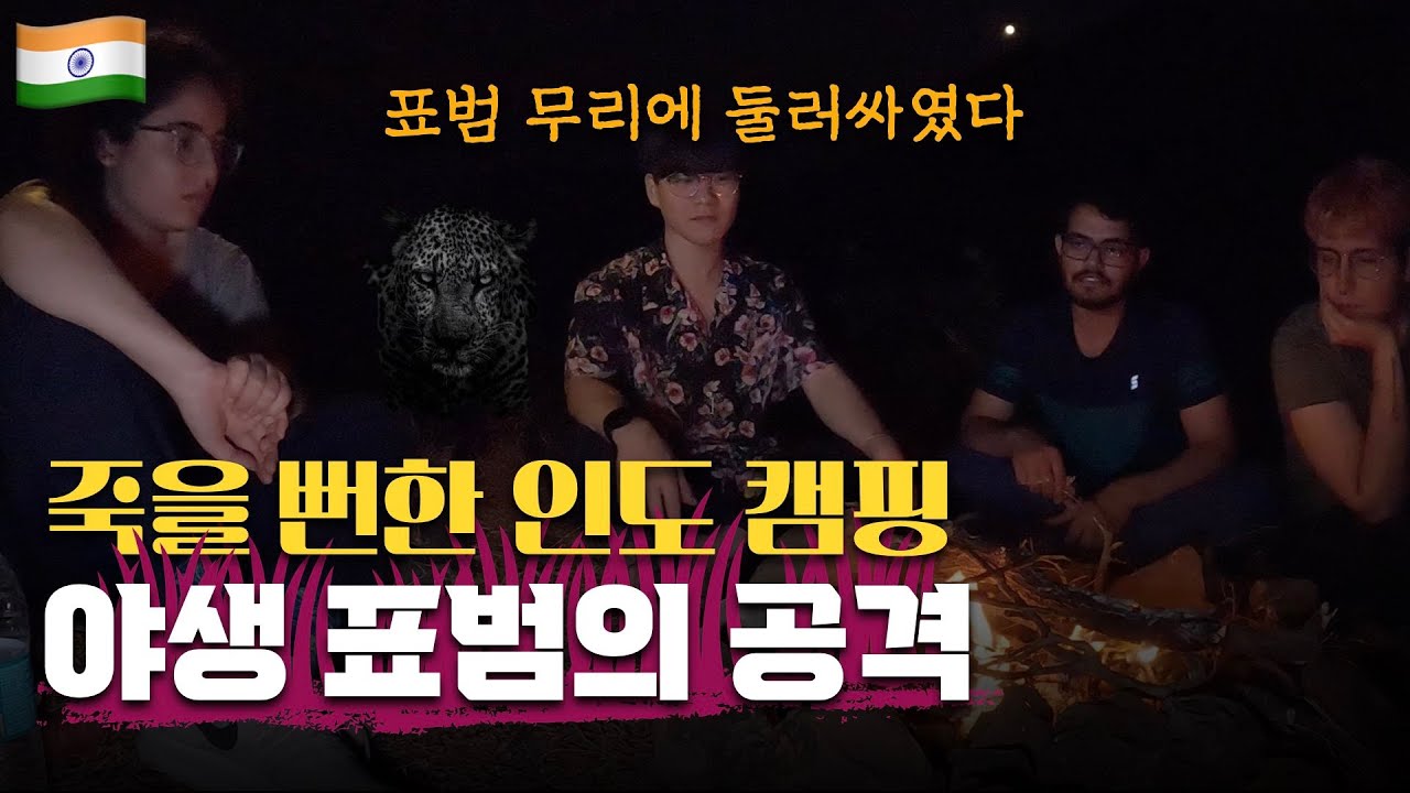 인도의 정글에서 캠핑해보기 | 야생동물과의 위험천만했던 순간 | 인도 [06]