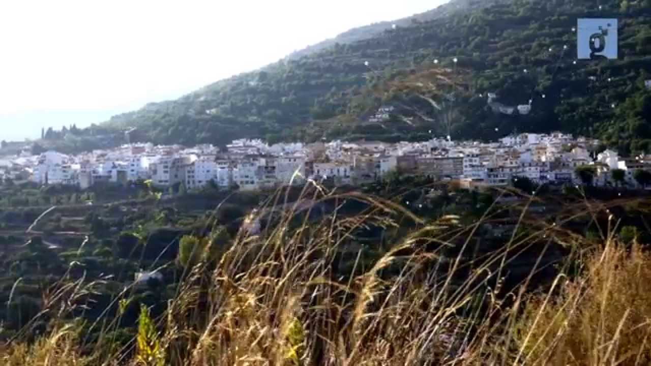Guadalinfo : Un viaje de la periferia al centro