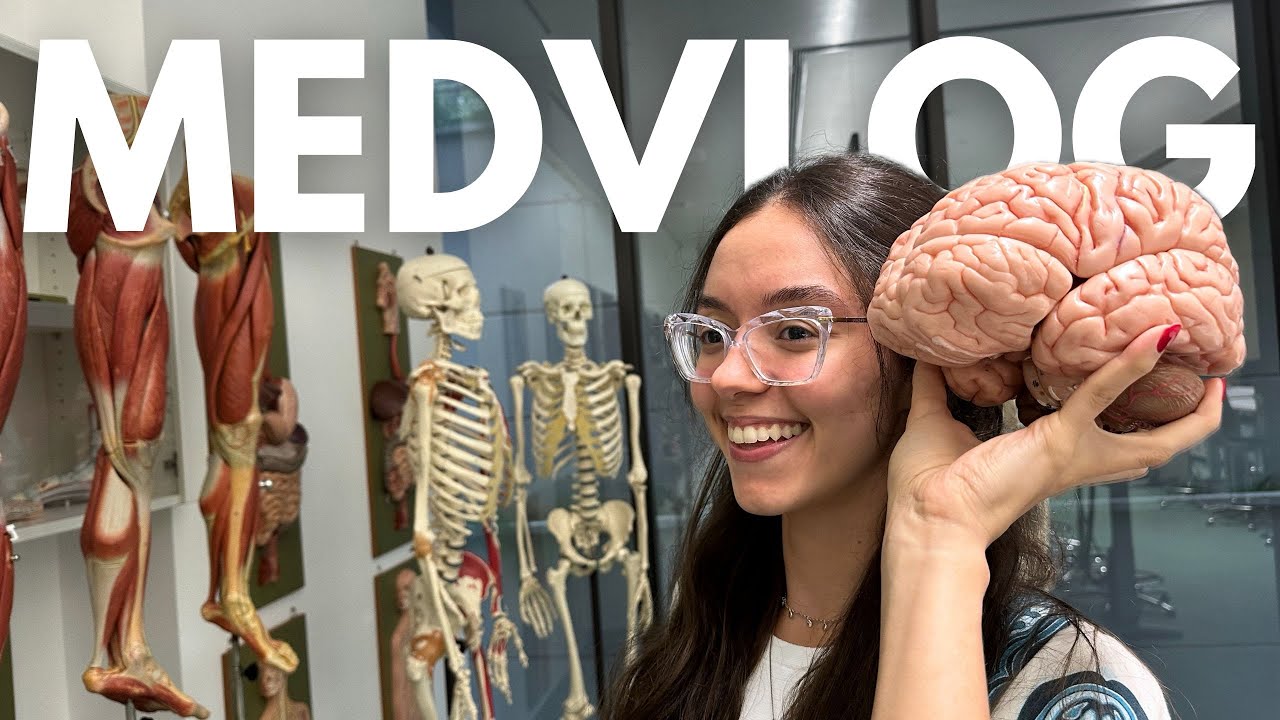MEDVLOG #14: VOLTA ÀS AULAS