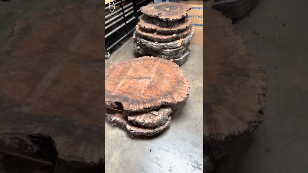 Claro Walnut Burl