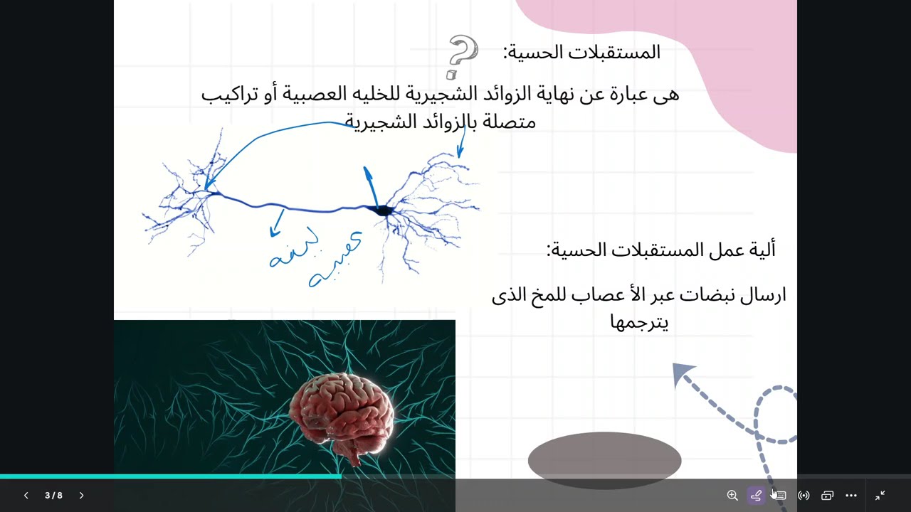 الإحساس في الإنسان – تركيب العين ووظيفة الصلبة | أحياء تانية تمريض المنهج المطور 2025