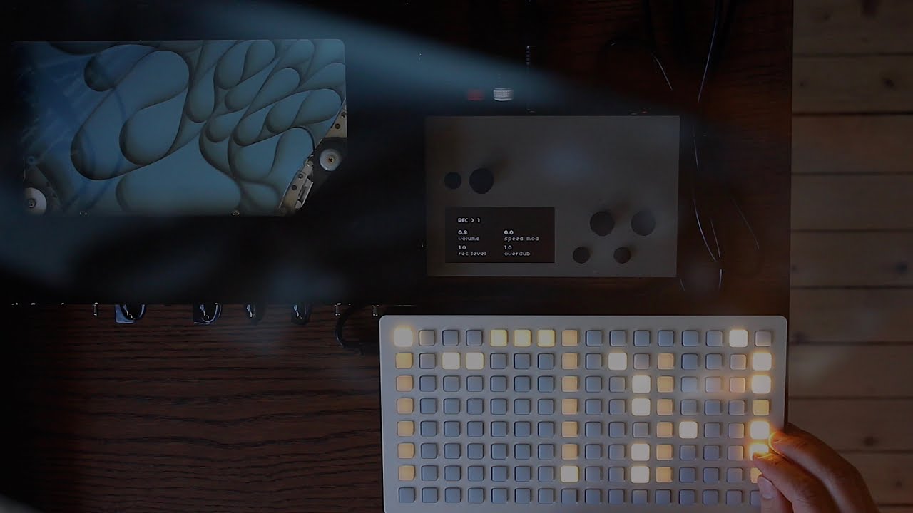 Monome Norns / Hiwatt Custom Tape Echo