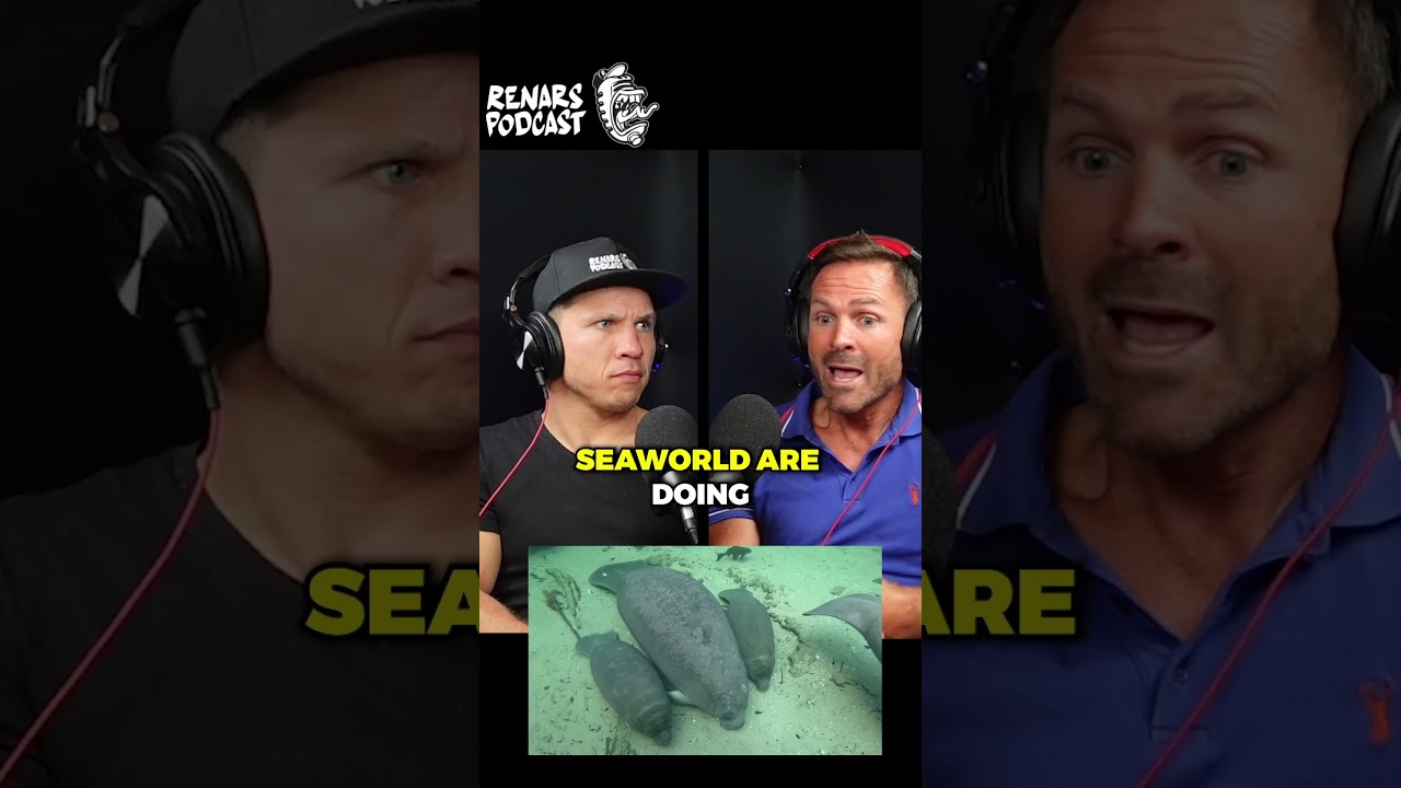 Renars Podcast #nicholasdaines #podcast #wildlifepodcast