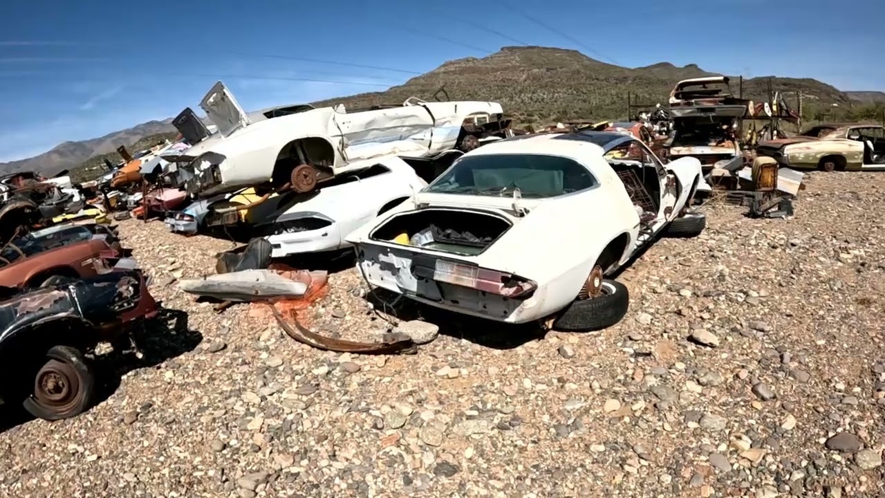 Desert Valley Auto Parts Junkyard Tour