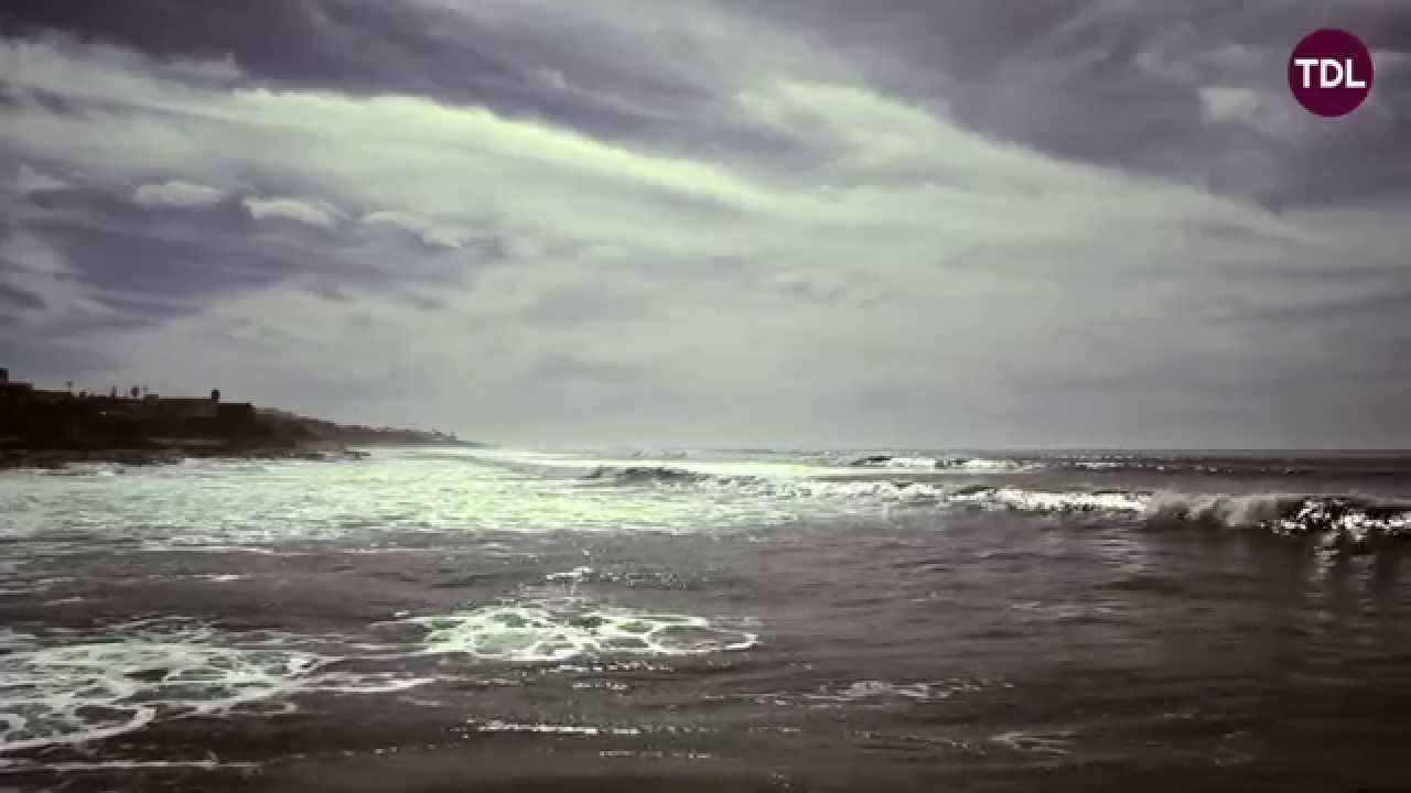 The Dead Lovers - Big World (Official Video)