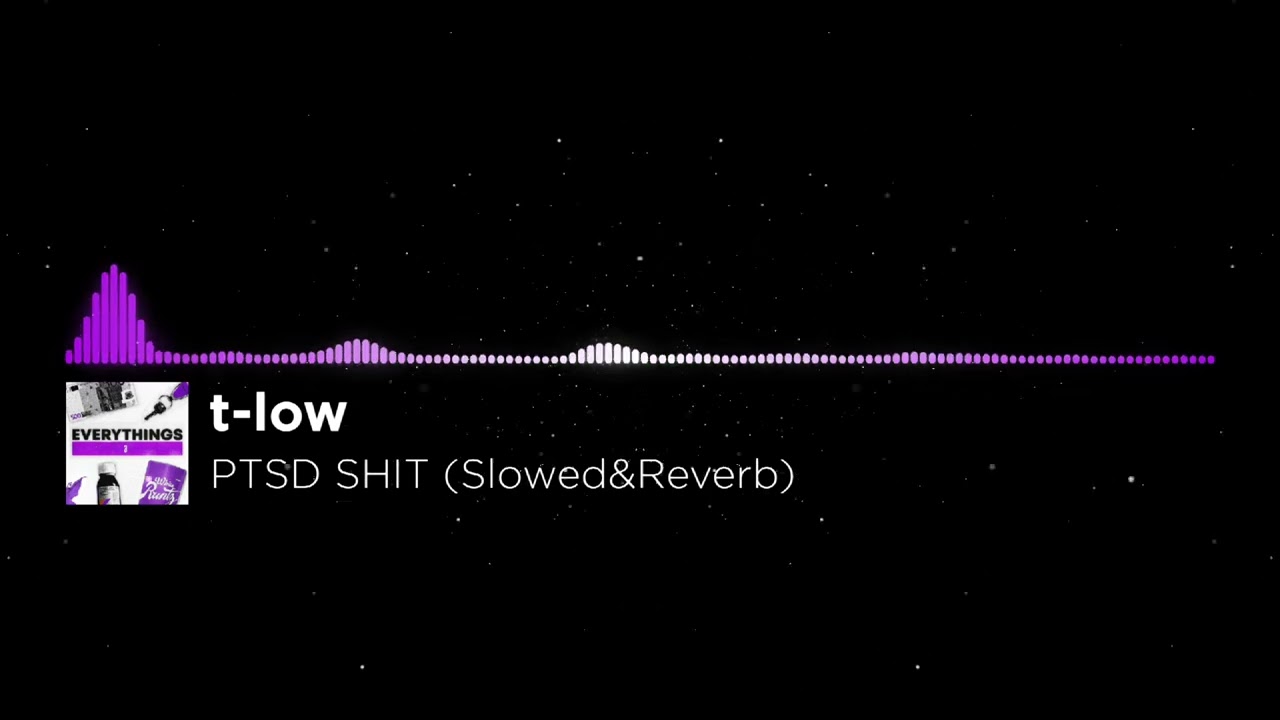 t-low - PTSD SHIT (Slowed&Reverb)