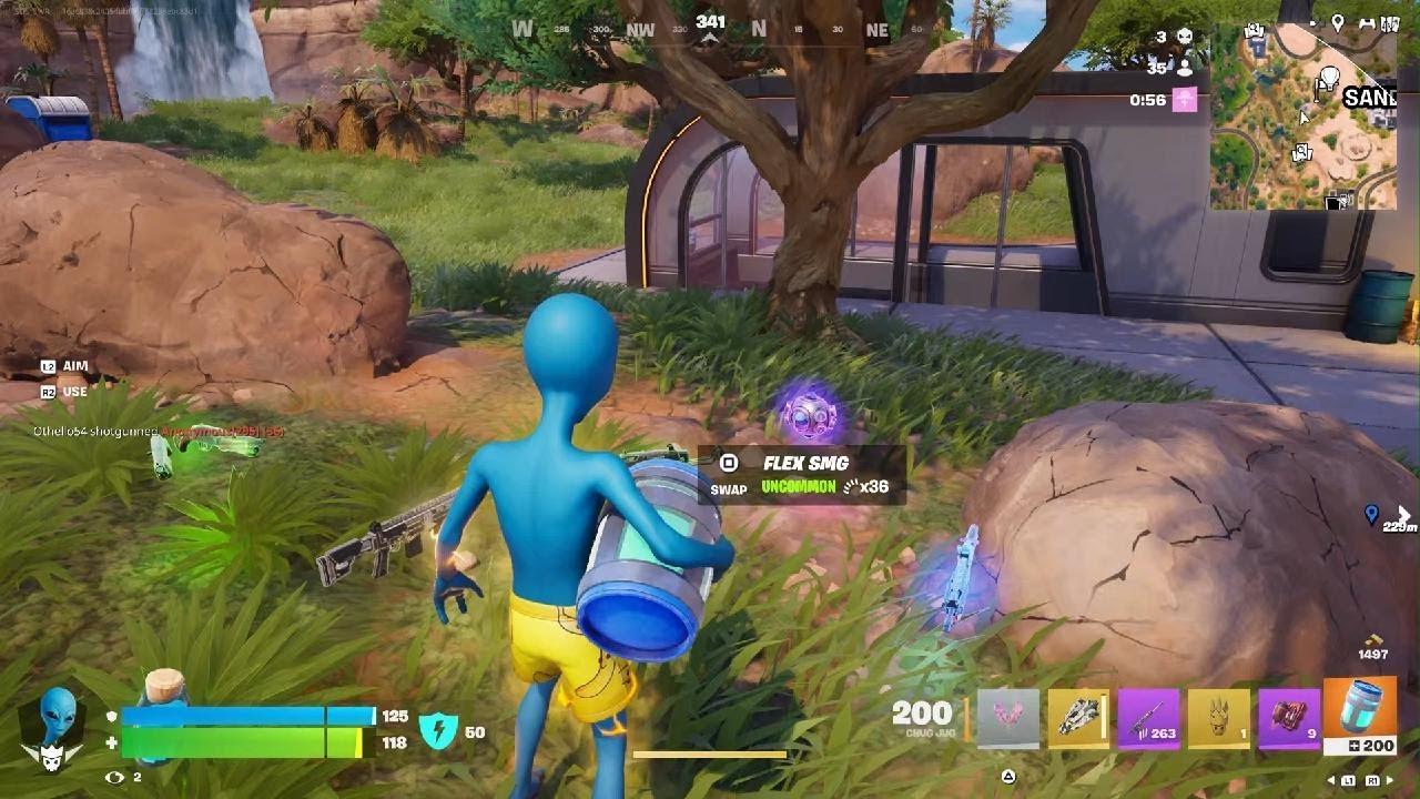 Fortnite Crown Win Solo
