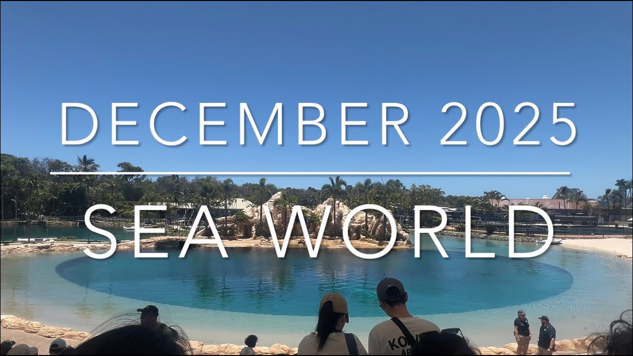 Sea World and Sea World Resort | Gold Coast | Australia with kids | 2025