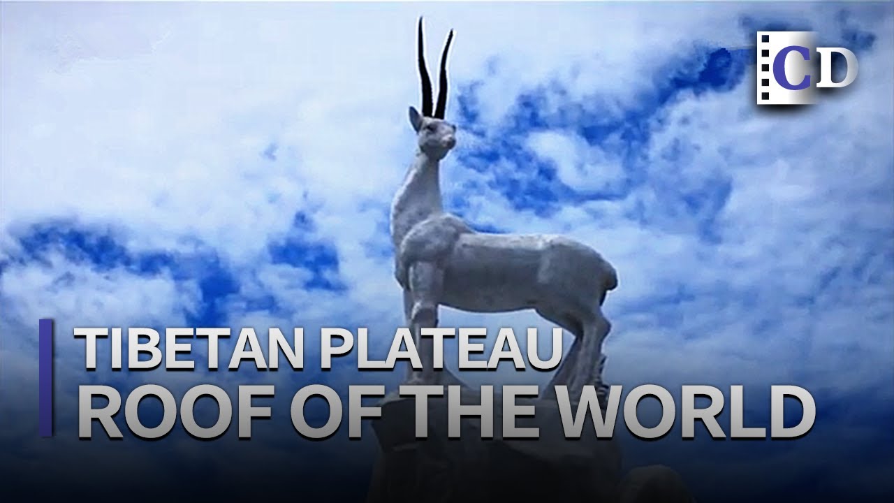 Hezuo City | What to see on the highest plateau in the world?