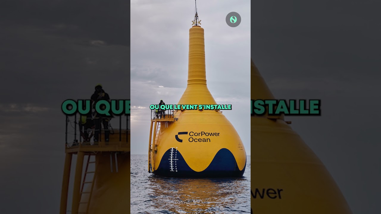 🌊 CorPower Ocean : Cette bouée géante transforme les vagues en électricité ⚡