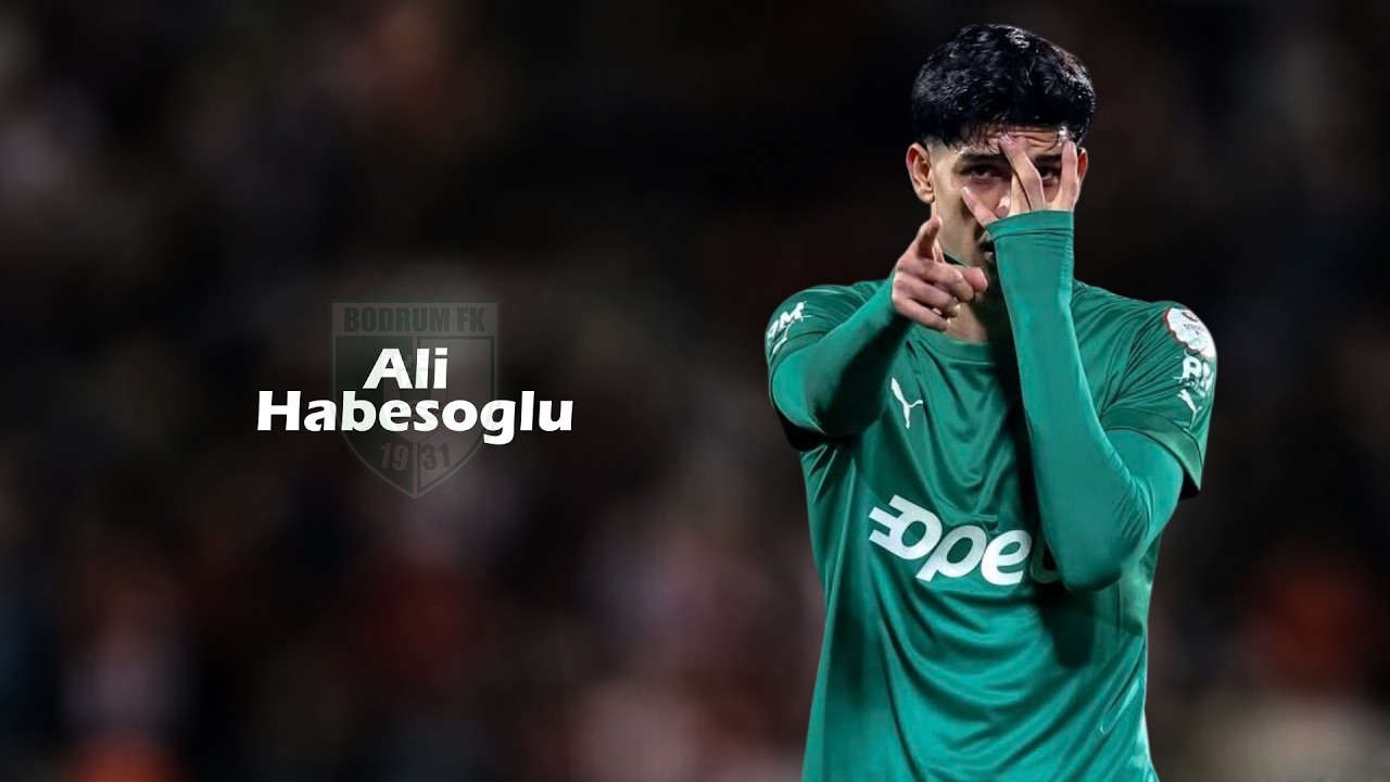 Ali Habesoglu - Physical Striker - Skills, Goals & Assists ᴴᴰ