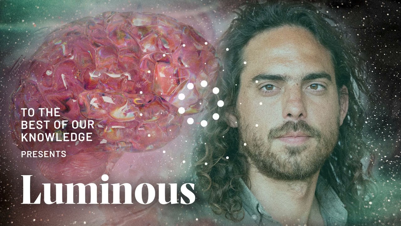 Luminous: Chris Timmerman on how DMT can deconstruct the mind