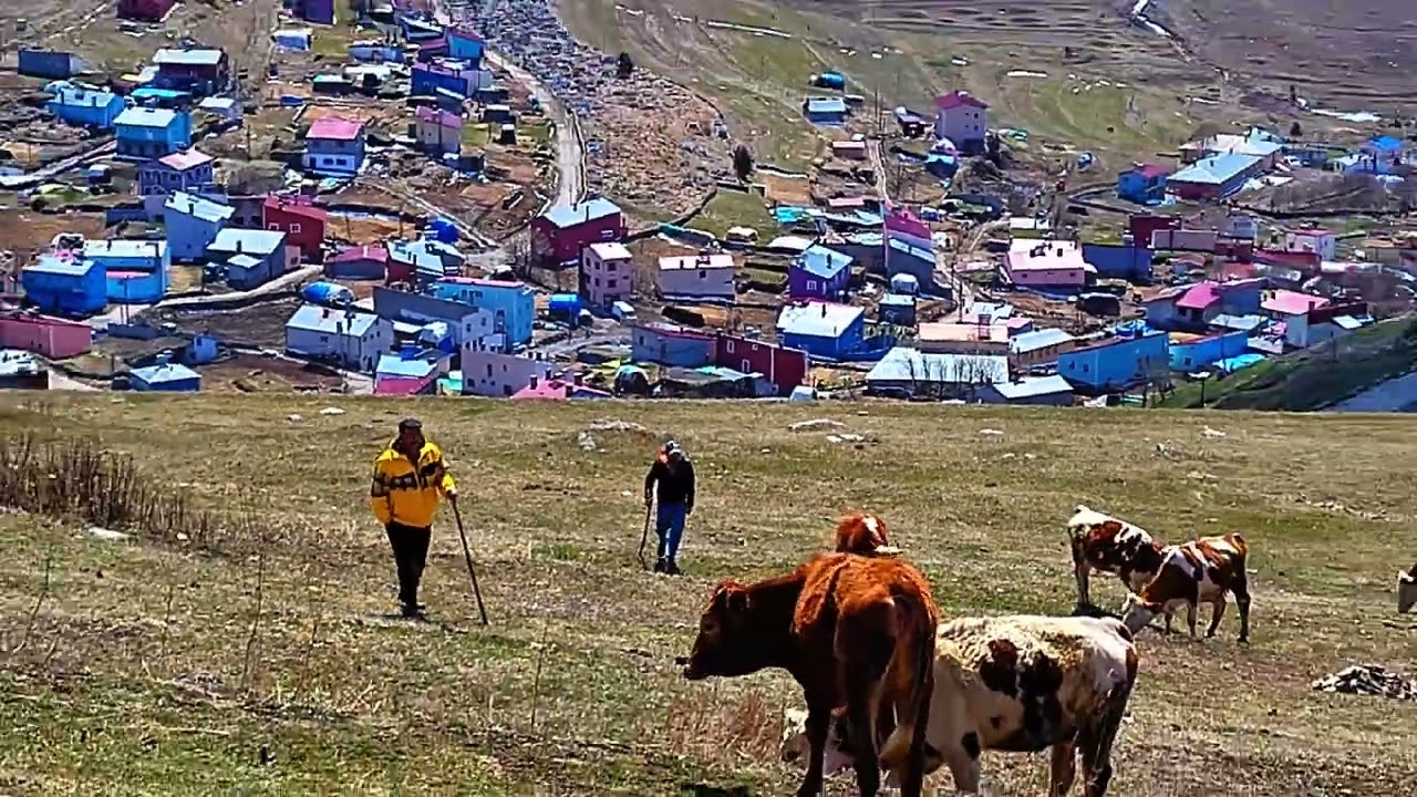 Ardahan/Damal/Yukarı Gündeş