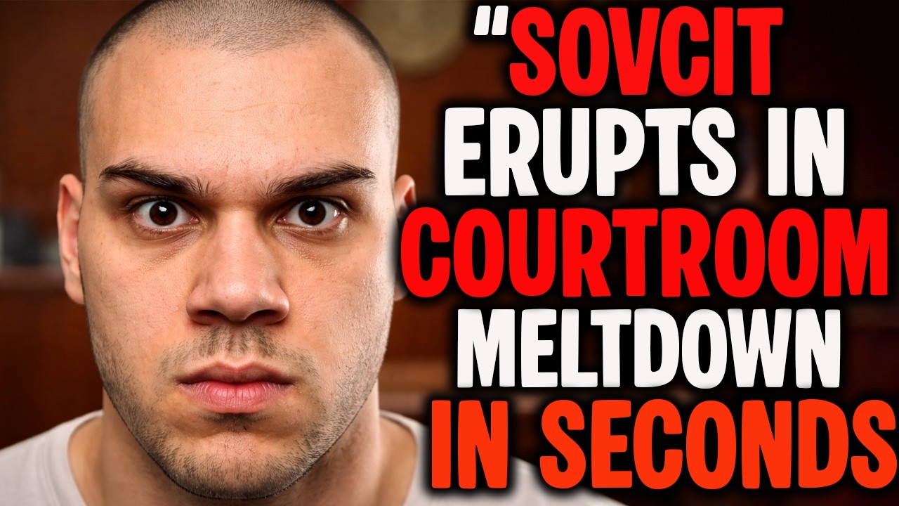 Компания SovCit потерпела неудачу с защитой, основанной на представлении о себе как об иностранно...