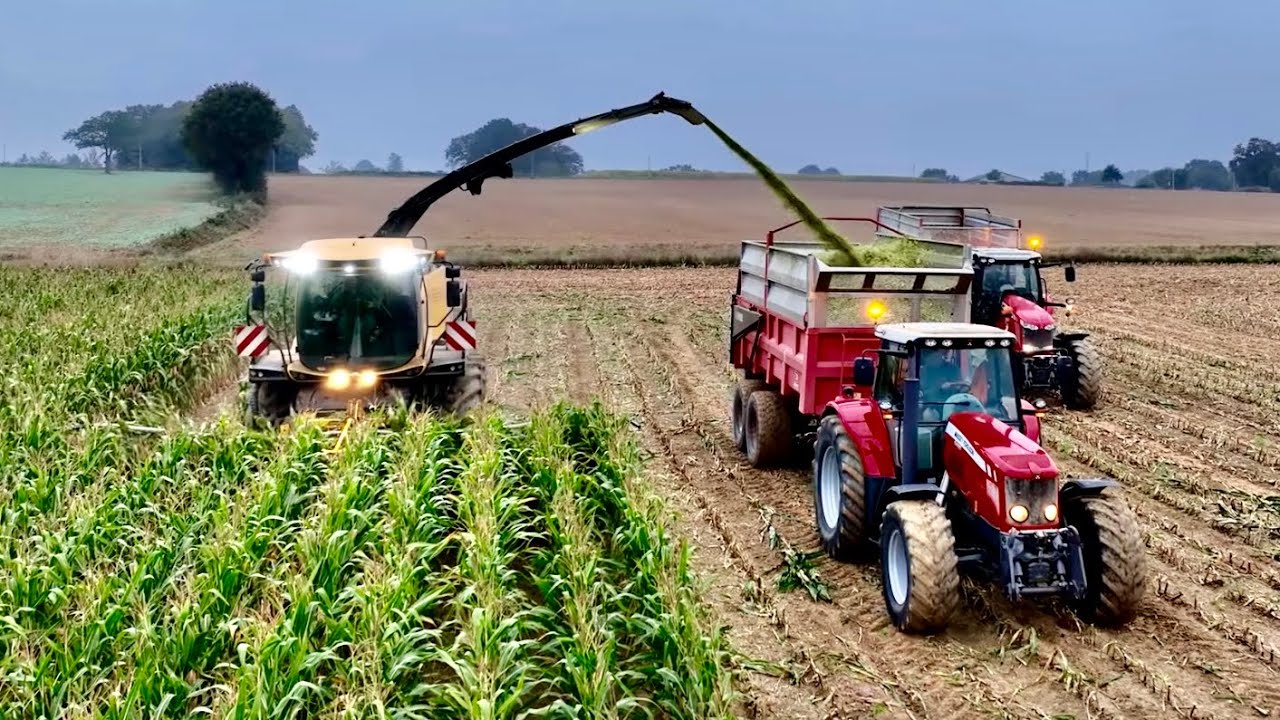 ensillage maïs 2023 new Holland FR920