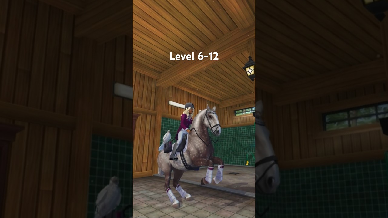 How levels go by. Remake with the new characters 🫶 #sso #starstableonline #starstable #ssoedit