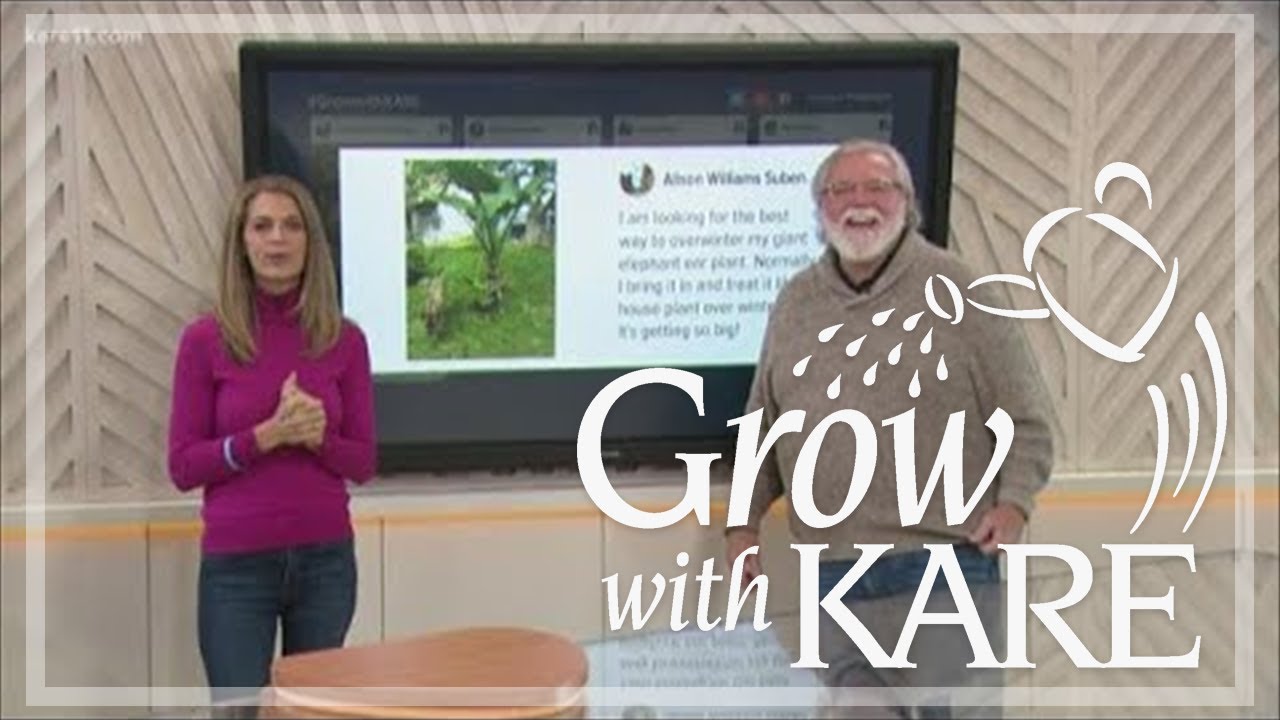 Bobby Jensen and Laura Betker answer Grow With KARE questions
