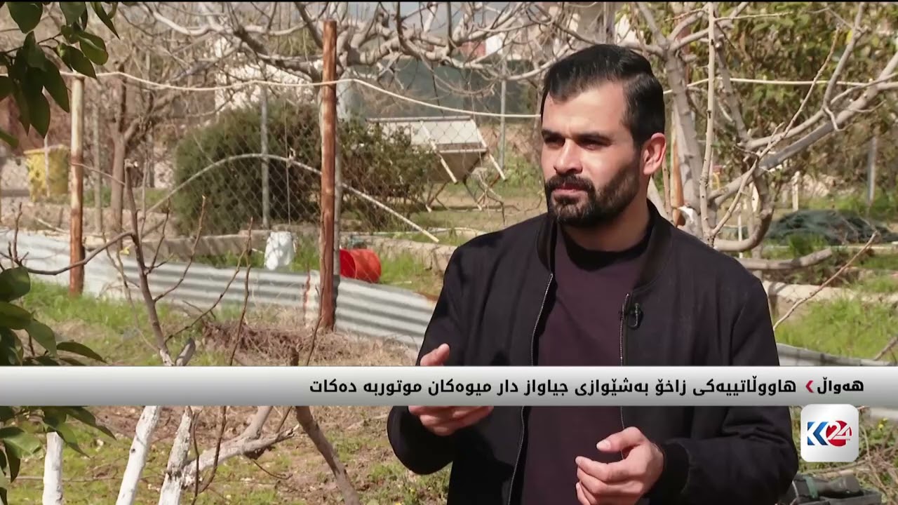 هاووڵاتییەکی زاخۆ بەشێوازی جیاواز دار میوەکان موتوربە دەکات