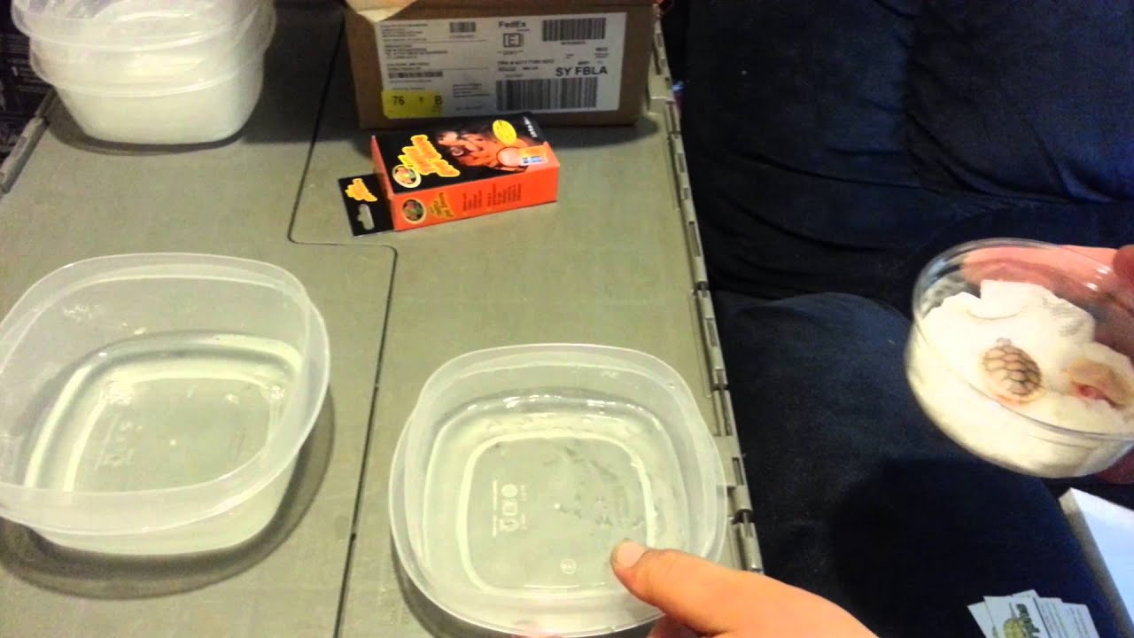 Unboxing rare baby turtles.. caramel pink snow alb