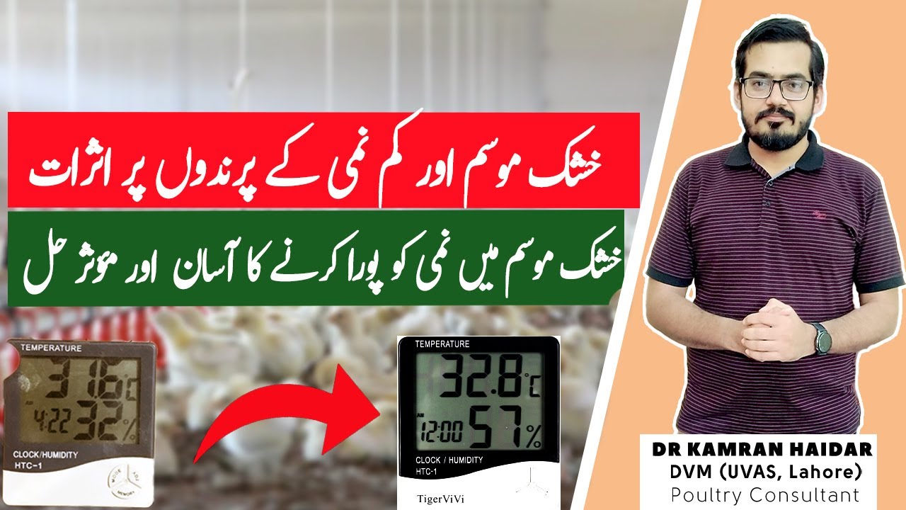 How Increase Humidity (RH) in Dry Weather | Tips to Control Low Humidity in Poultry Farming