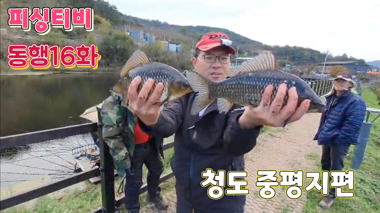 피싱티비 동행 16편 청도 중평지편 (붕어낚시)