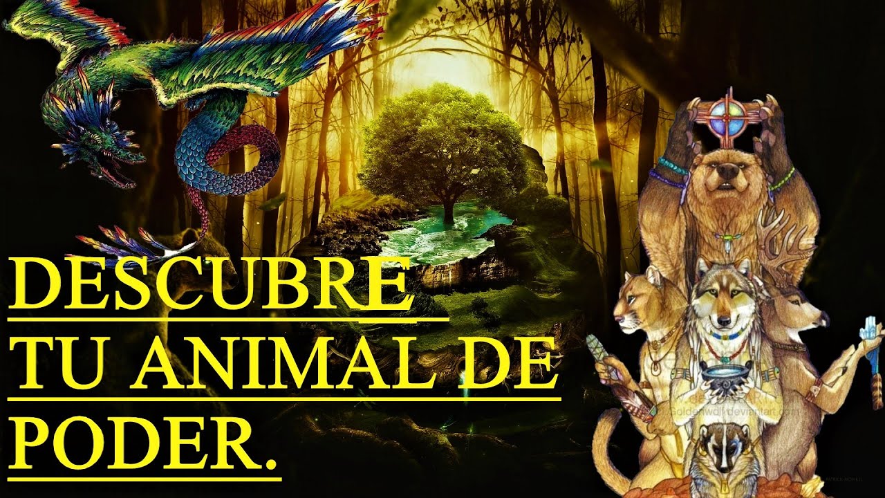 Meditaci&oacute;n poderosa para descubrir tu animal de poder (MEDITACI&Oacute;N GUIADA) 🐺🍀🐉
