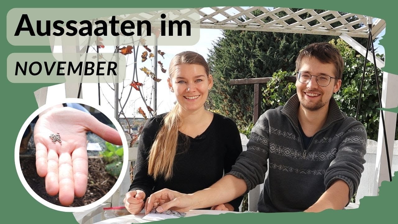 Aussaat im November? Da geht noch was!