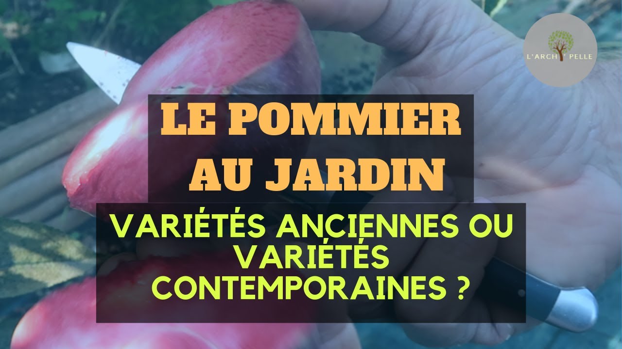 LE POMMIER : variétés anciennes ou contemporaines au jardin ?