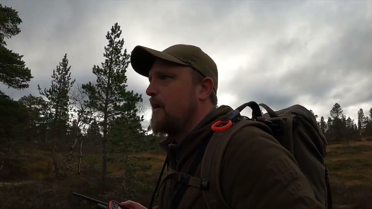 Skogsfugljakt i de dype skoger