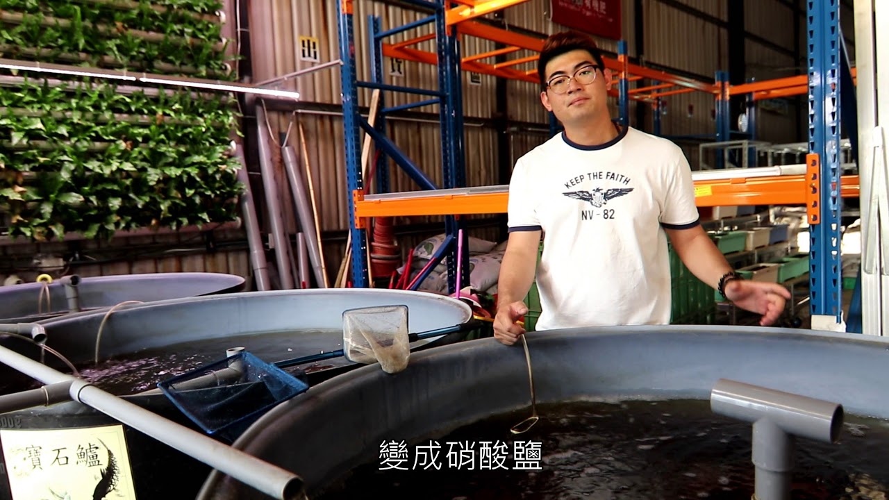 蚓魚菜共生系統