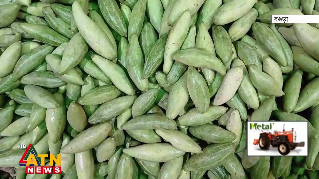 উত্তরবঙ্গের অন্যতম সবজির মোকাম বগুড়ার মহাস্থান হাট | Bogura | Advance Vegetable | ATN News