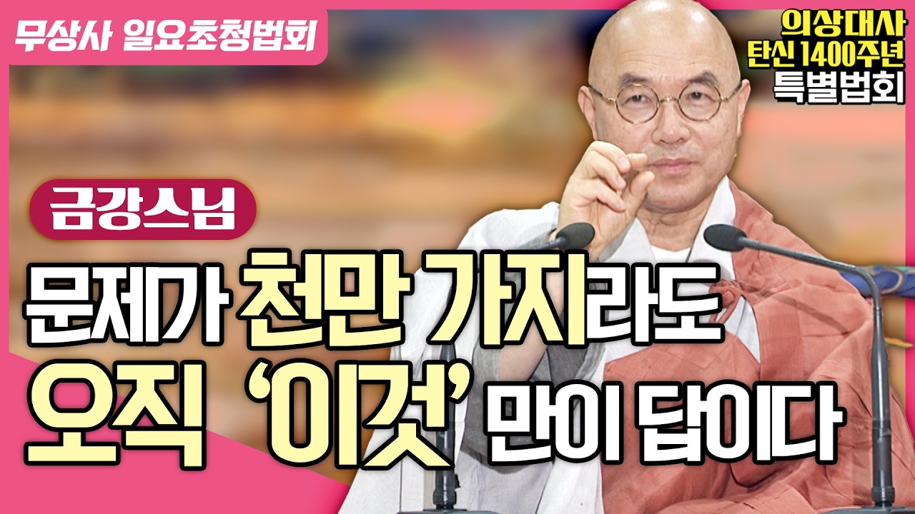 분별하는 마음에서 벗어나면, 진짜 자유가 시작됩니다｜#금강스님 #무상사일요초청법회 914회차 풀버전