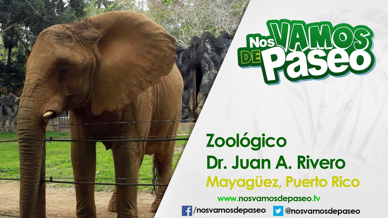 Zoologico Dr. Juan A. Rivero, Mayagüez, P.R.