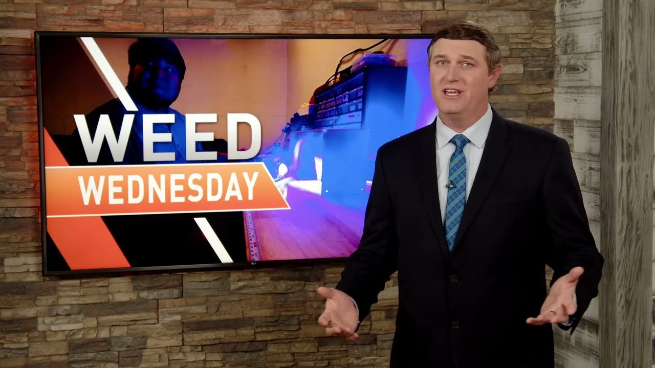 Weed Wednesday Blue Light 04/20/22