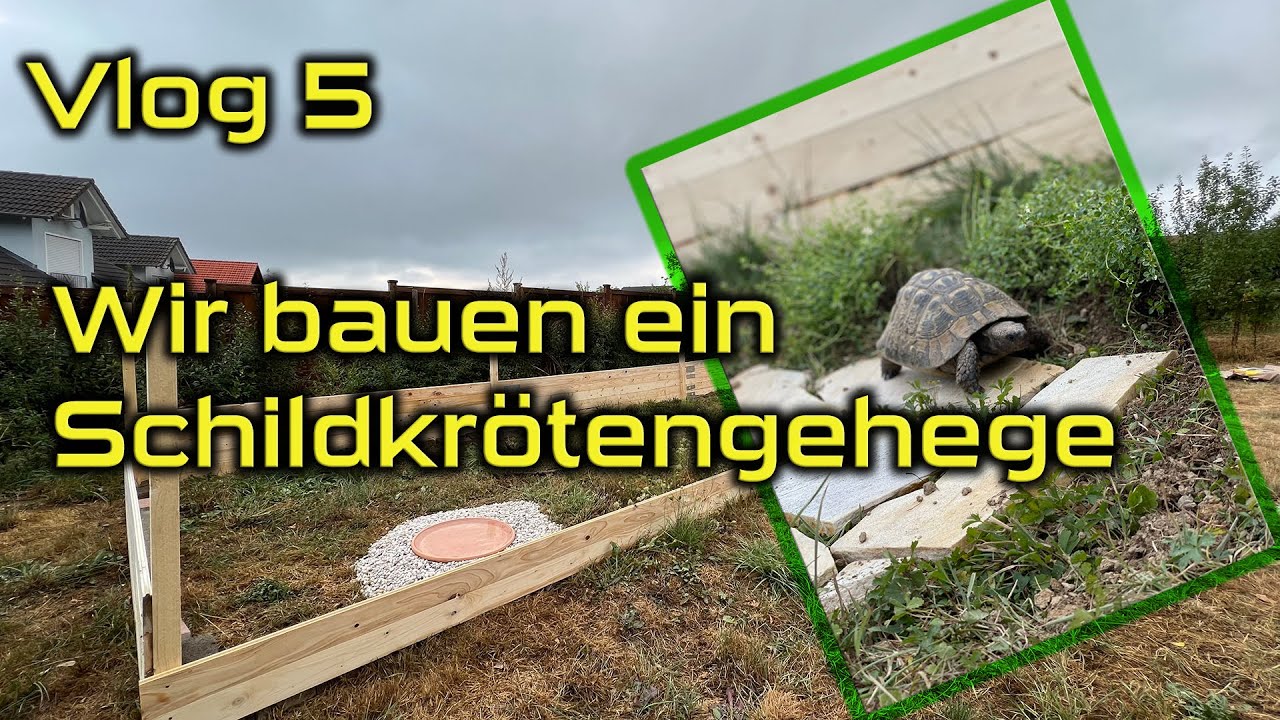 Vlog 5 Wir bauen ein Schildkröten Gehege im Garten und retten eine Schildkröte aus dem Tierheim